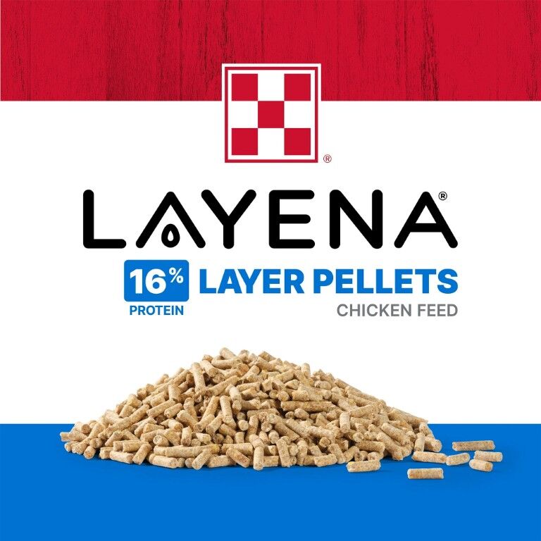Purina Layena Pellets 16% Layer Hen Feed, 50-Lb