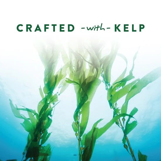 Manna Pro Duck Discs Treats for Waterfowl, 1-Lb