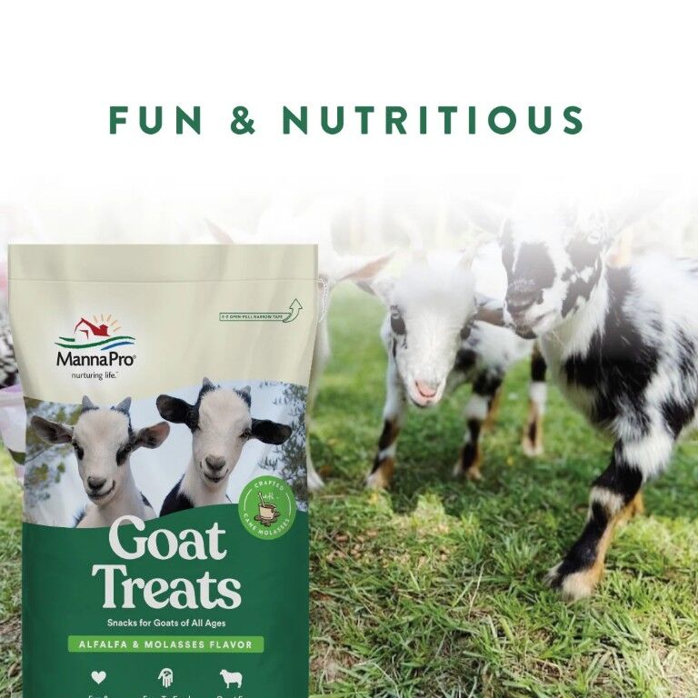 Manna Pro Goat Treats Alfalfa & Molasses Flavor, 20-Lb