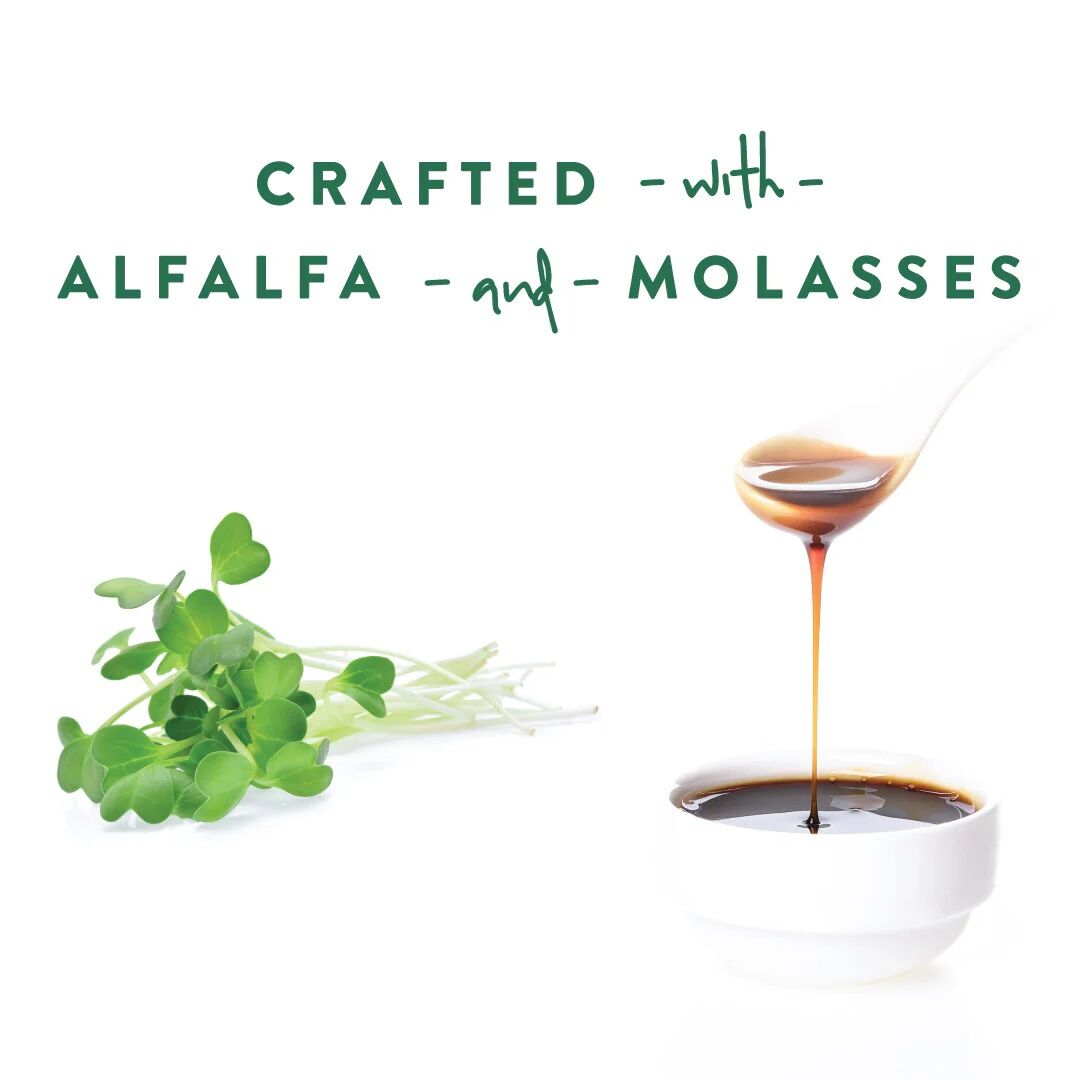 Manna Pro Goat Treats Alfalfa & Molasses Flavor, 20-Lb