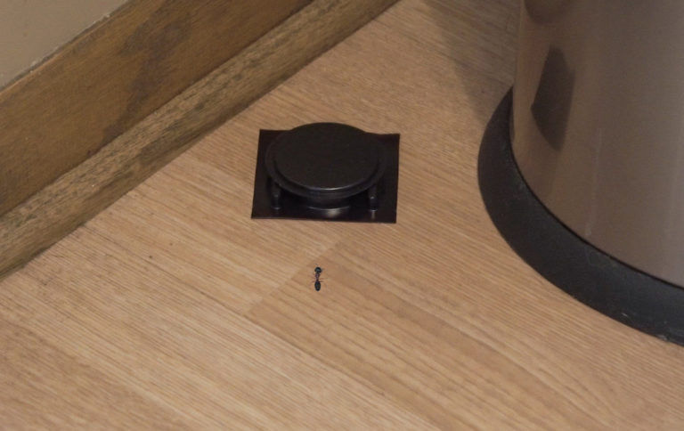 Homeplus Ant Killer, 4-Pk