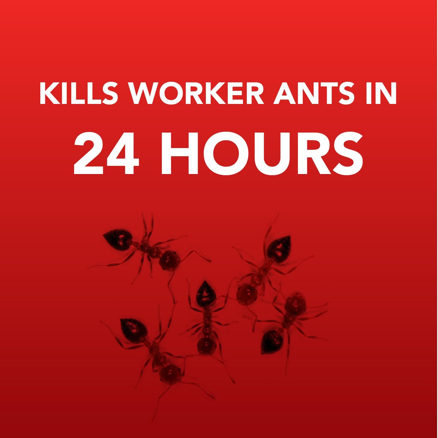 Ortho Home Defense Metal Ant Killer, 4-Pk