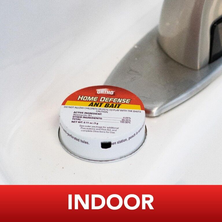 Ortho Home Defense Metal Ant Killer, 4-Pk