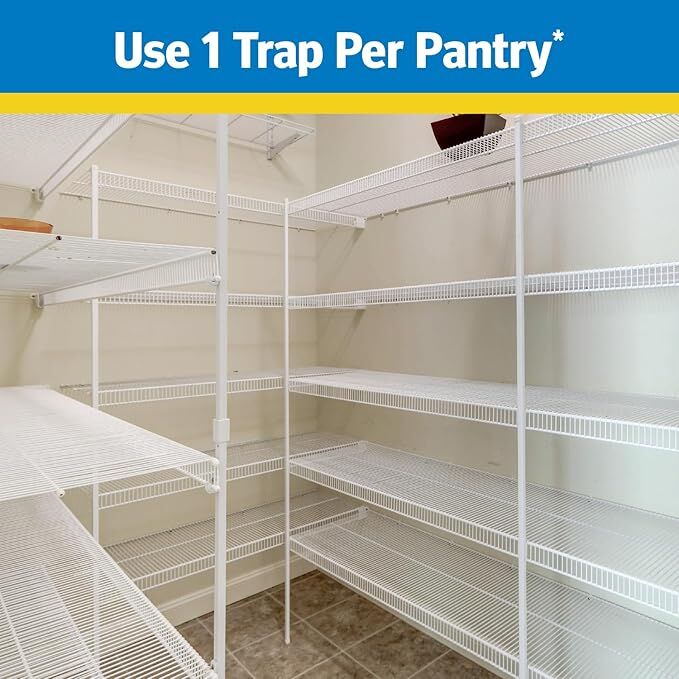 Raid Pantry Moth Trap, 2-Pk