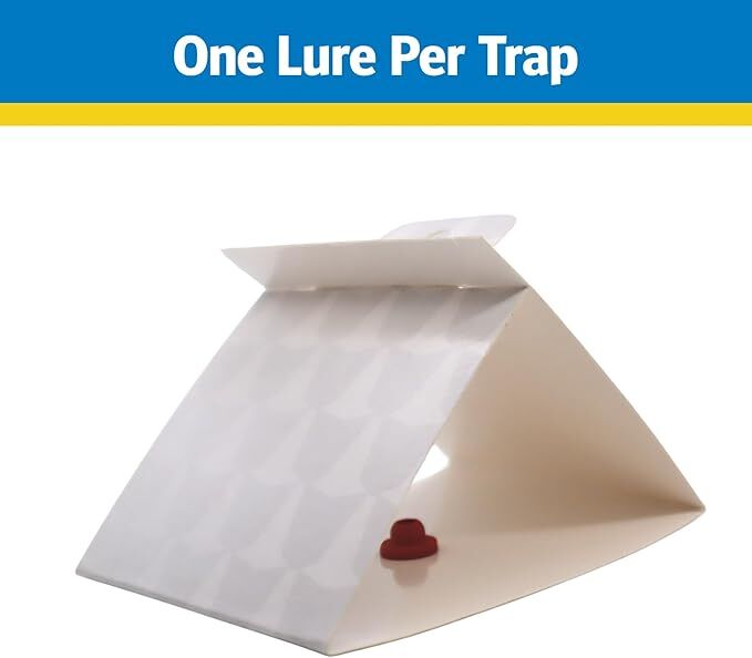 Raid Pantry Moth Trap, 2-Pk