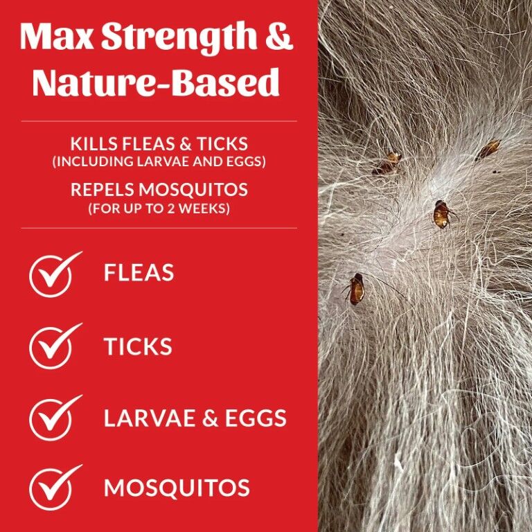 Skout's Honor Flea & Tick Shampoo, 16-Oz