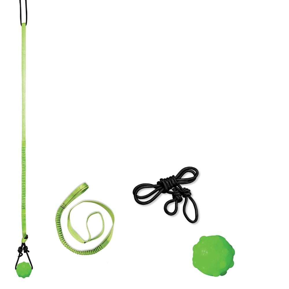 Jolly Pets Tree Tugger Dog Toy