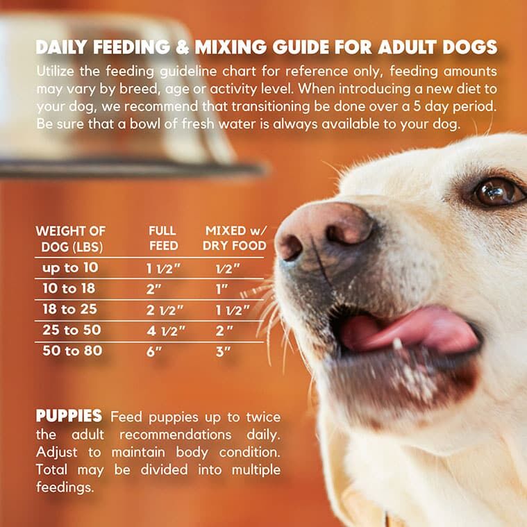 Lucy Pet Original Recipe Beef Formula Dog Food Rolls, 2.75-Oz