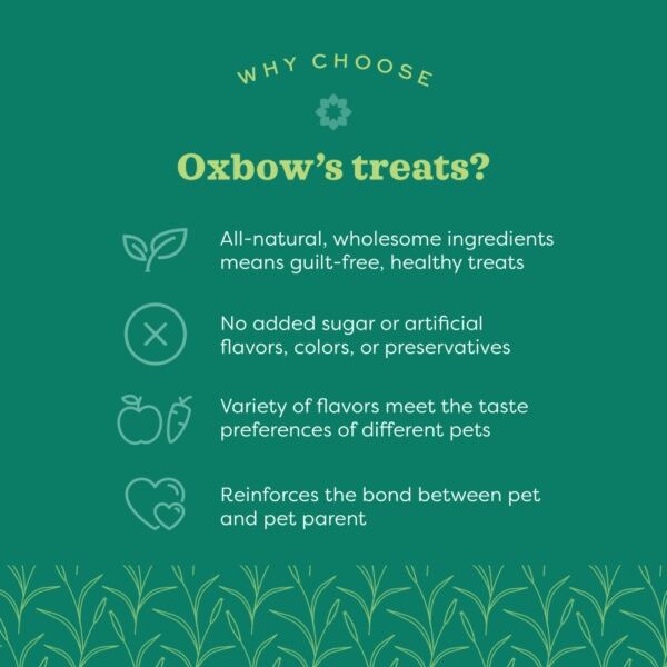 Oxbow Simple Rewards Baked Treats With Cranberry, 3-Oz