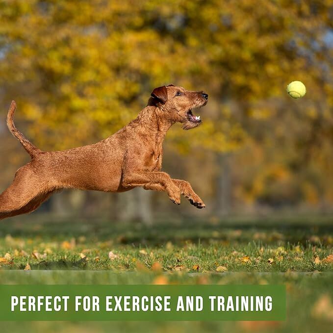 Hyper Pet Green Tennis Balls For Dogs, 2-Pk