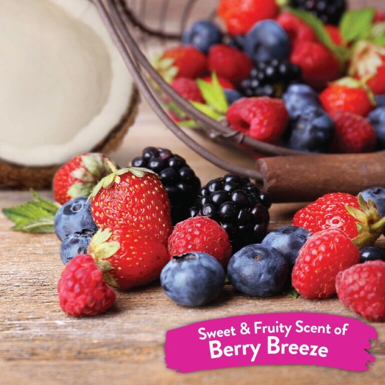 TropiClean Berry Breeze Deodorizing Spray for Pets, 8-Oz