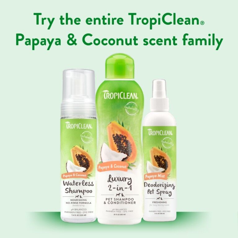 TropiClean Papaya Mist Deodorizing Spray for Pets, 8-Oz