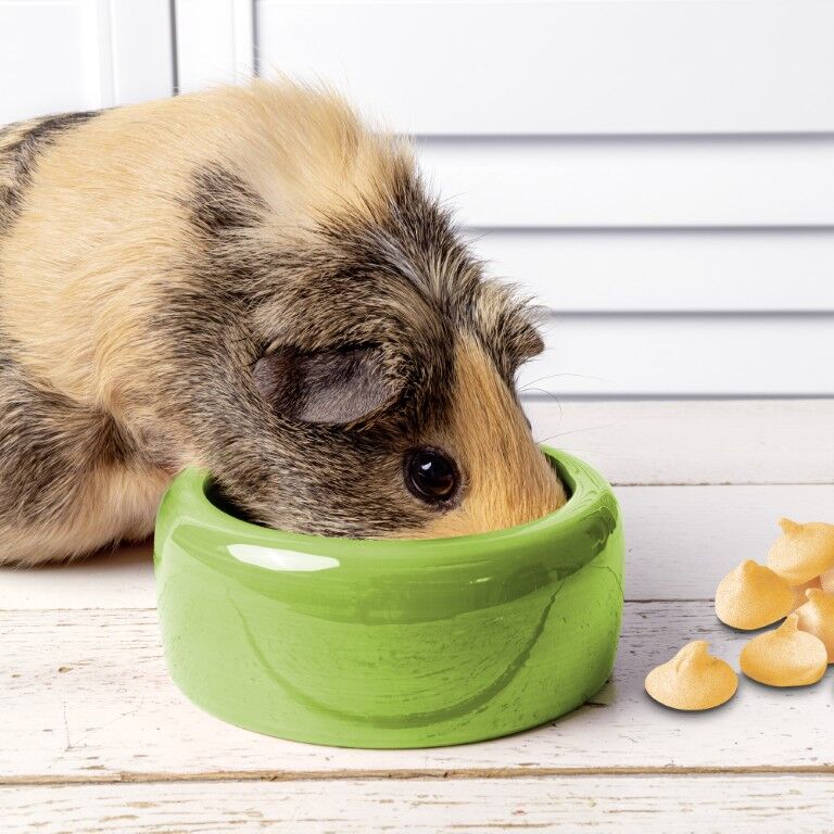 Vitakraft Drops With Orange Flavor Guinea Pig Treat, 5.3-Oz