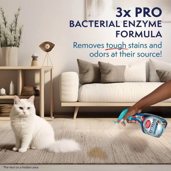 Simple Solution Extreme Stain and Odor Remover, 1-Gal