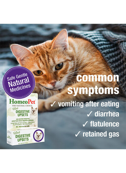 HomeoPet Feline Digestive Upsets, 15-ML