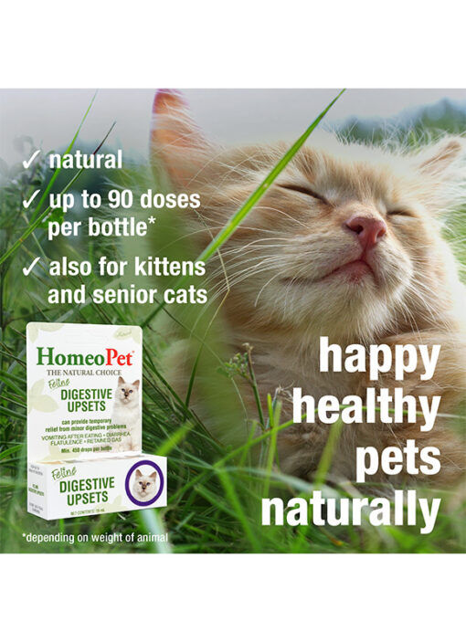 HomeoPet Feline Digestive Upsets, 15-ML
