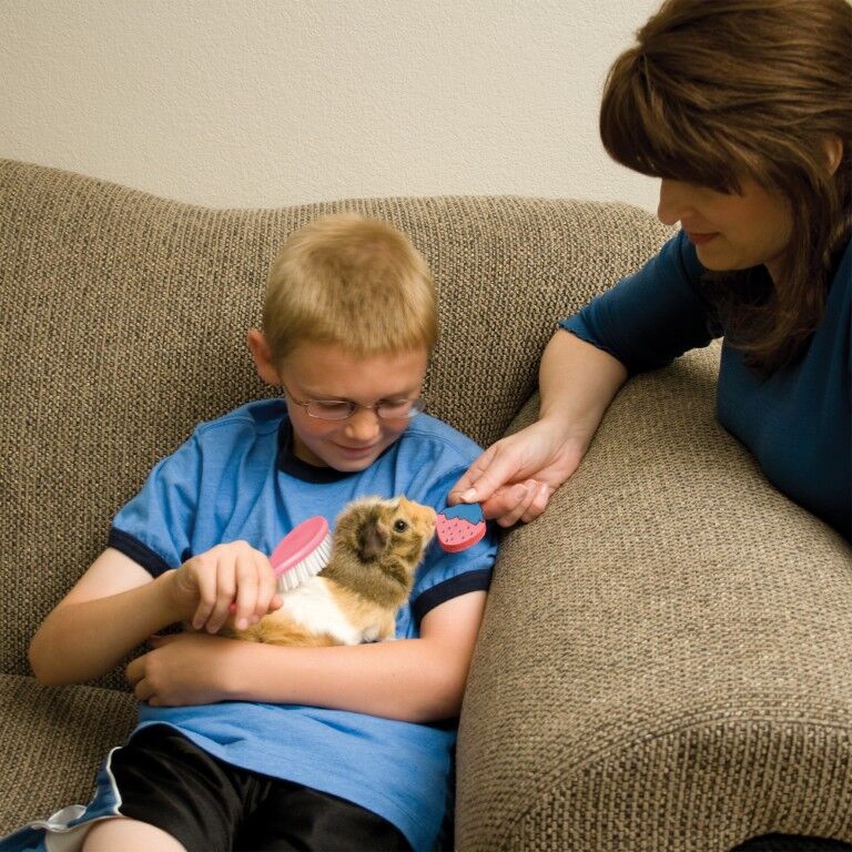 Ware Small Animal Grooming Kit                  