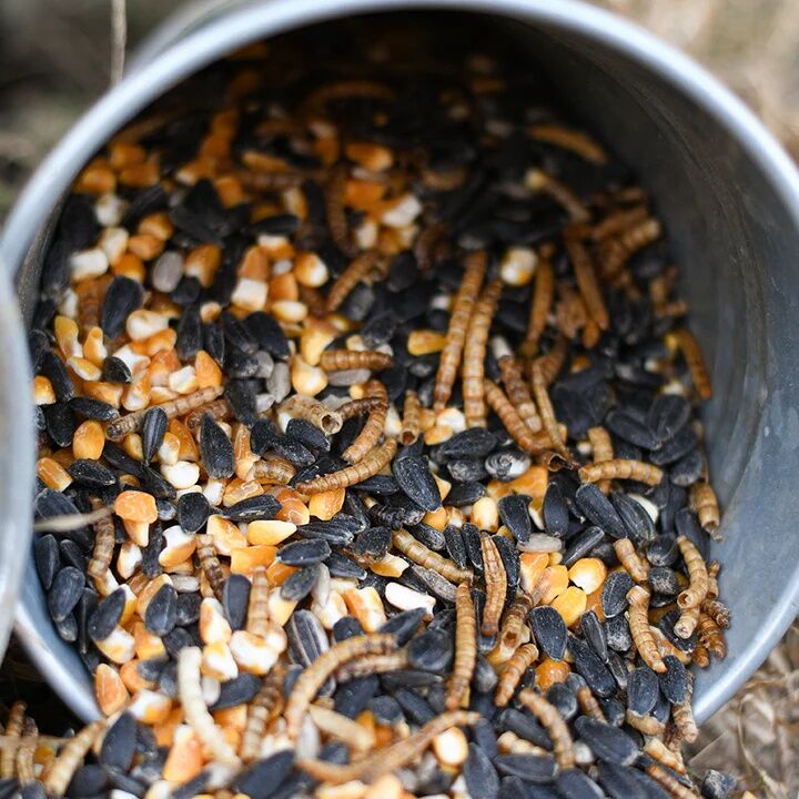 Happy Hen Oat & Worm Party Time Treat Mix, 2-Lb