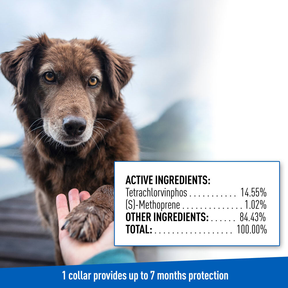 Adams Plus Flea & Tick Collar For Dogs, Large