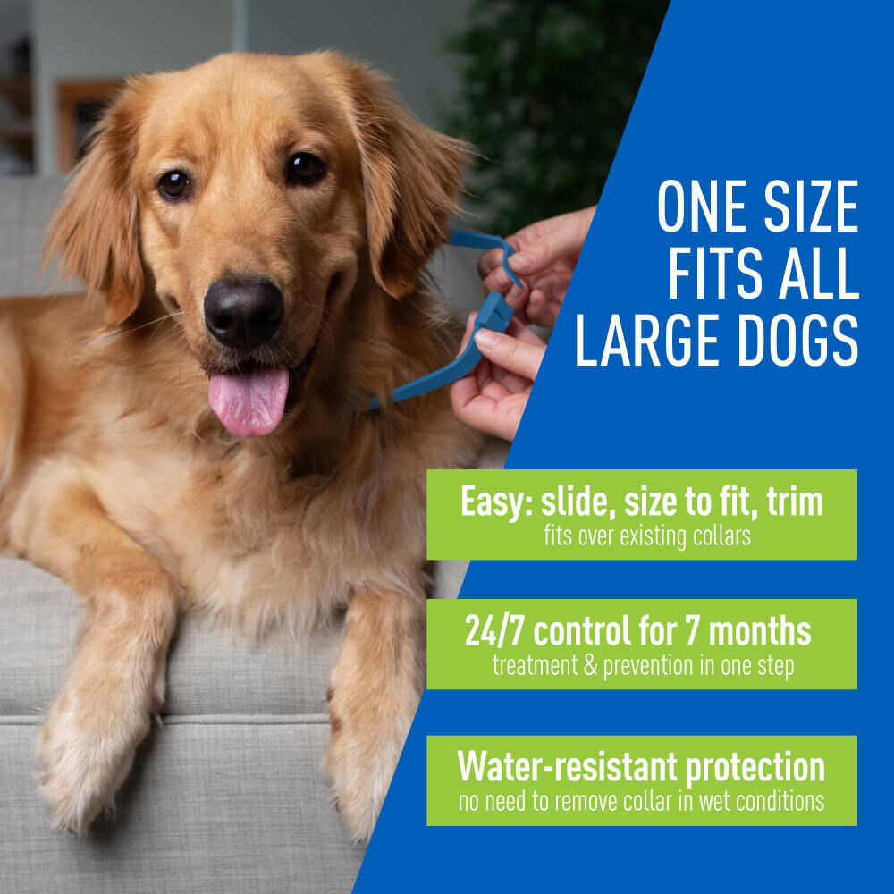 Adams Plus Flea & Tick Collar For Dogs, Large