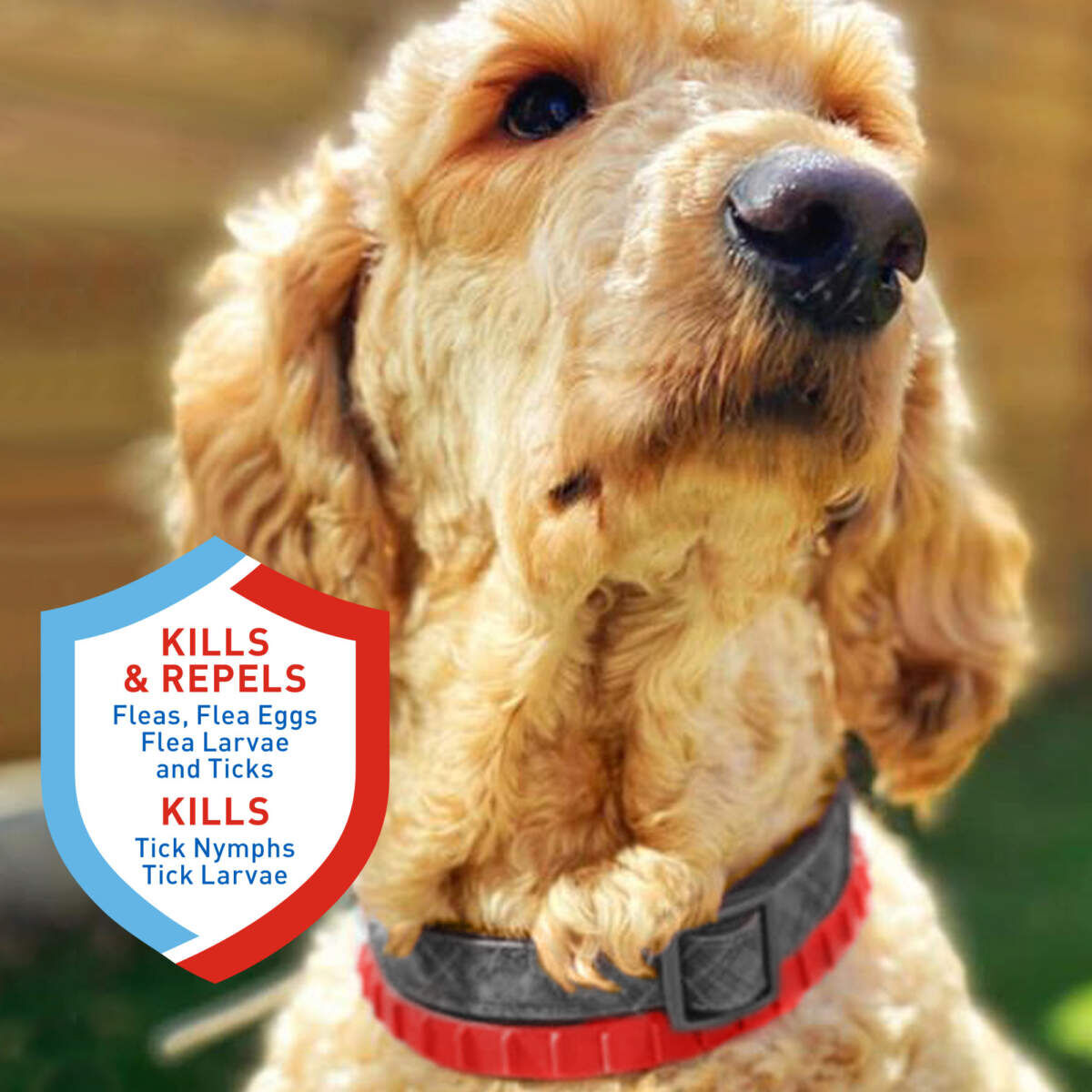 Adams Plus Flea & Tick Collar for Small Dogs