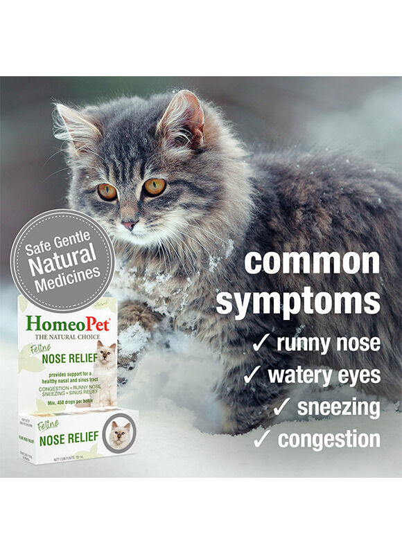 HomeoPet Feline Nose Relief, 15-mL