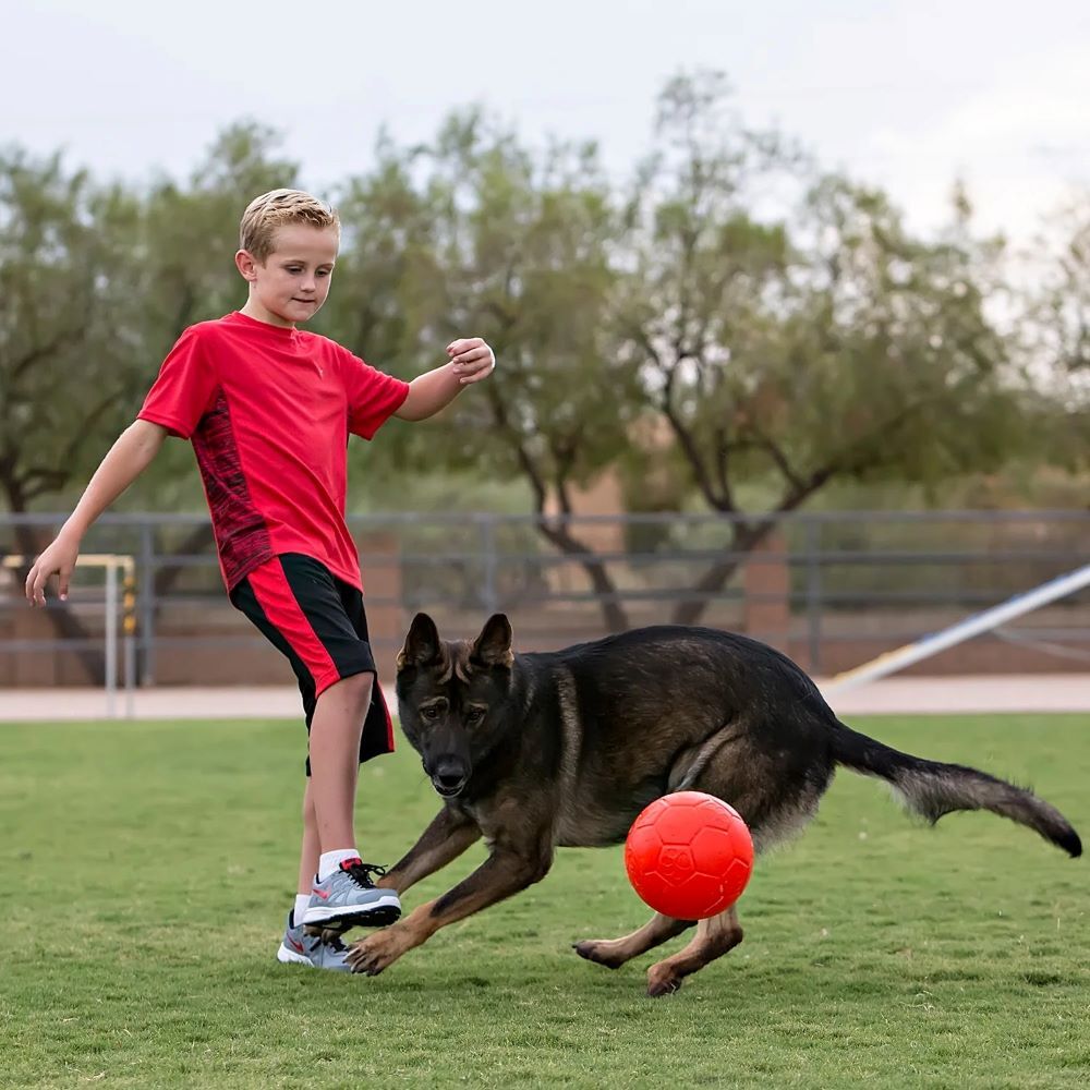 Jolly Pets Large Orange Jolly Soccer Ball Dog Toy, 8-In