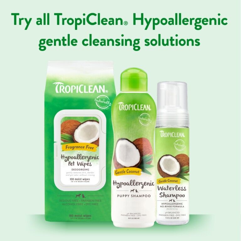 TropiClean Gentle Coconut Hypoallergenic Pet Wipes, 100-Ct