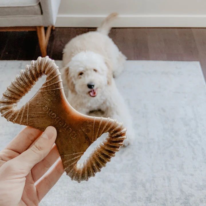 Benebone Medium Bacon Dental Chew Toy