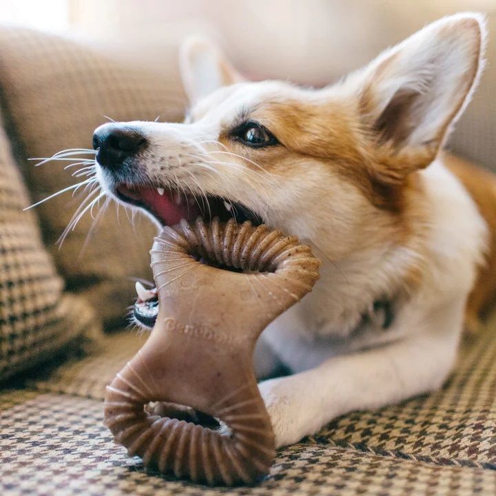 Benebone Small Bacon Dental Chew Toy