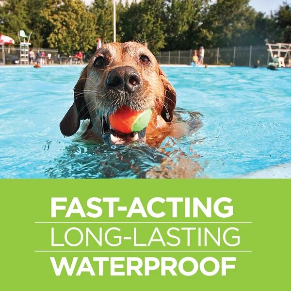 Vetality Firstect Plus For Medium Dogs, 23-44-L