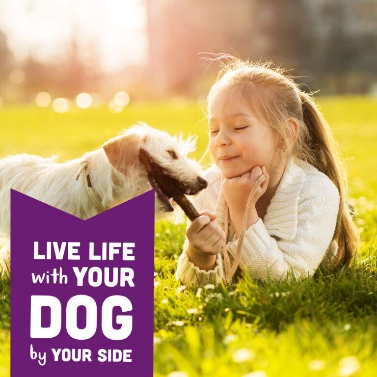 Cloud Star Wag More Bark Less Crunchy Grain Free Dog Treats, 14-Oz