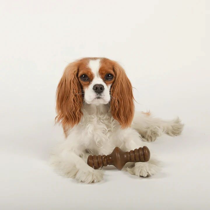 Benebone Small Bacon Zaggler Chew Toy