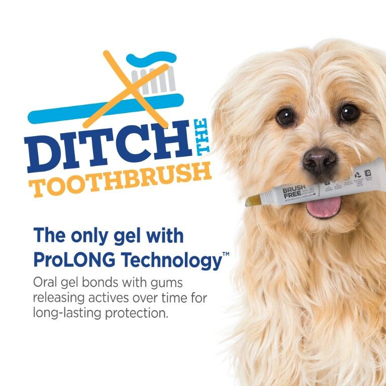Vetality Brush Free Oral Gel for Dogs, 0.88-Oz
