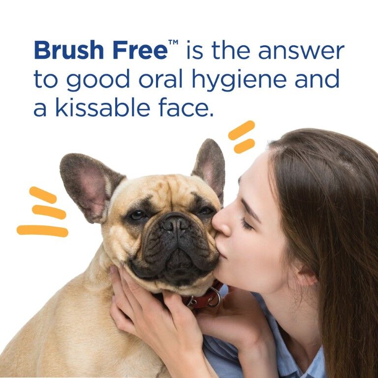 Vetality Brush Free Oral Gel for Dogs, 0.88-Oz