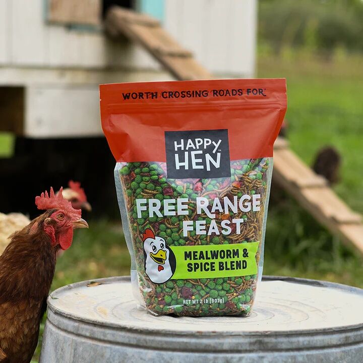 Happy Hen Free Range Feast Mealworm & Spice Blend Treat, 2-Lb