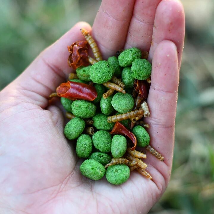 Happy Hen Free Range Feast Mealworm & Spice Blend Treat, 2-Lb