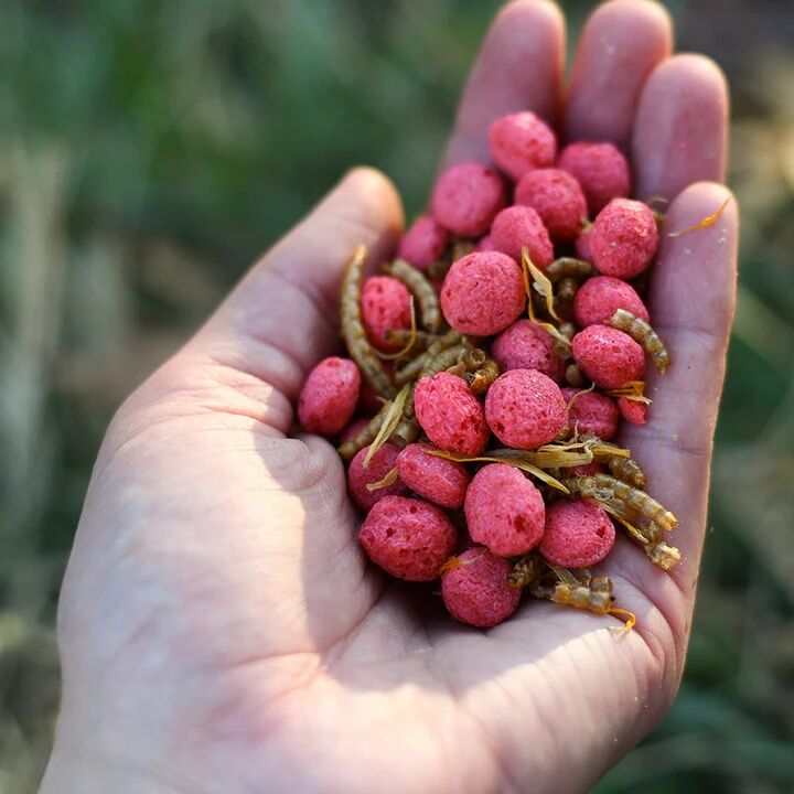 Happy Hen Free Range Feast Mealworm & Flower Blend Treat, 2-Lb