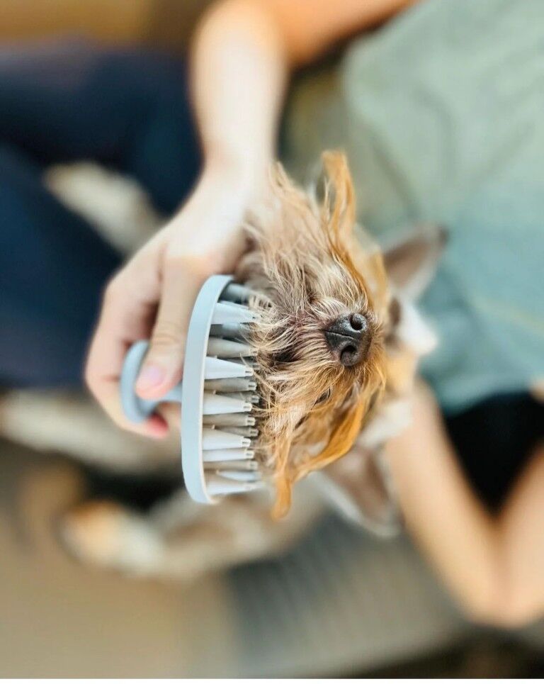 Dexas BrushBuster Gray Dog Brush