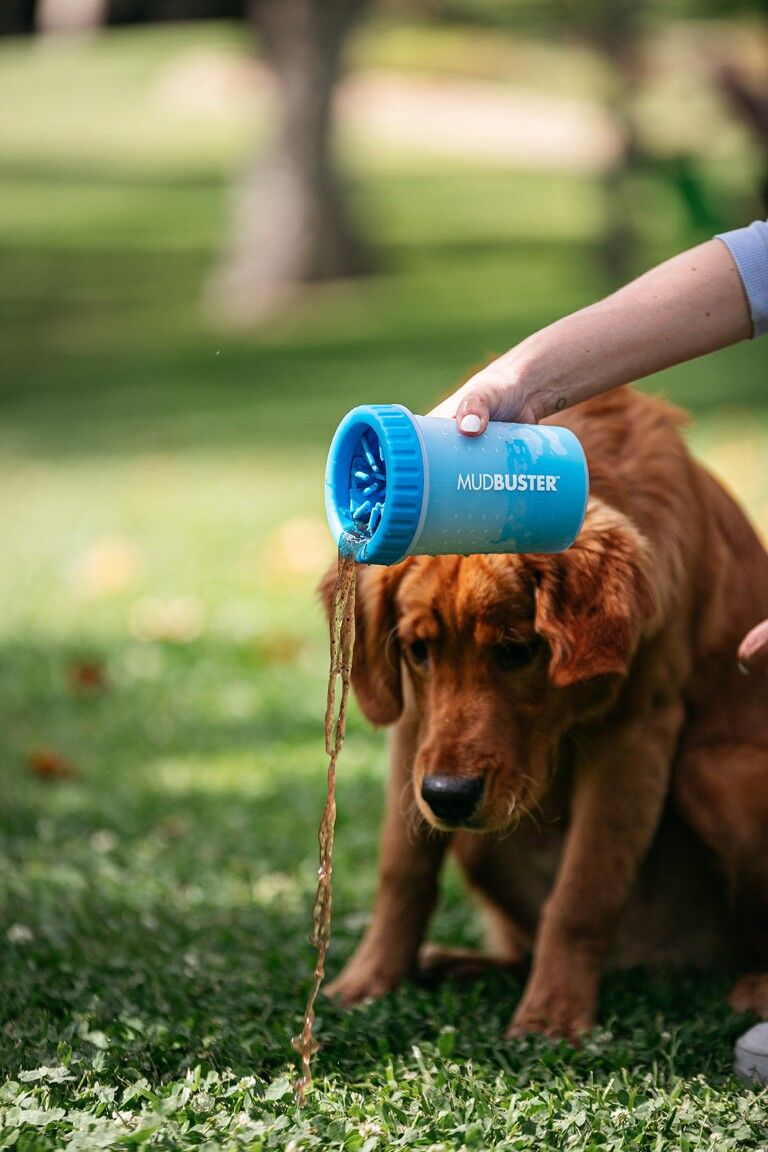 Dexas MudBuster Medium Blue Paw Cleaner, 6 X 4-In