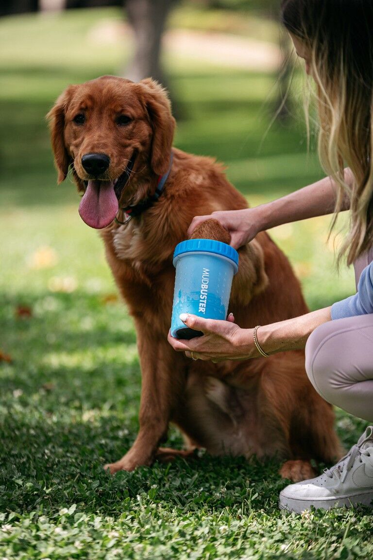 Dexas MudBuster Medium Blue Paw Cleaner, 6 X 4-In