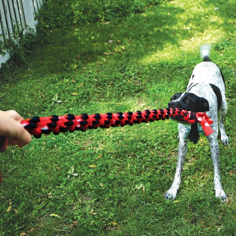 KONG Medium Signature Rope Dual Knot Dog Toy