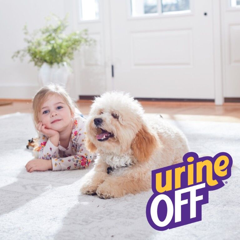 Urine Off Dog & Puppy Refill, 1-Gal