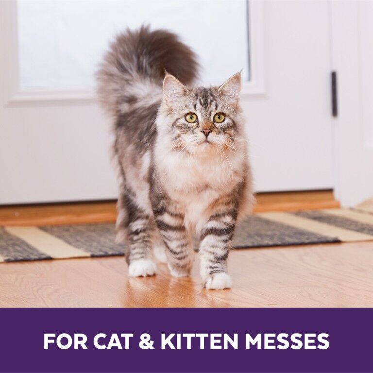 Urine Off Cat & Kitten Carpet Applicator, 32-Oz