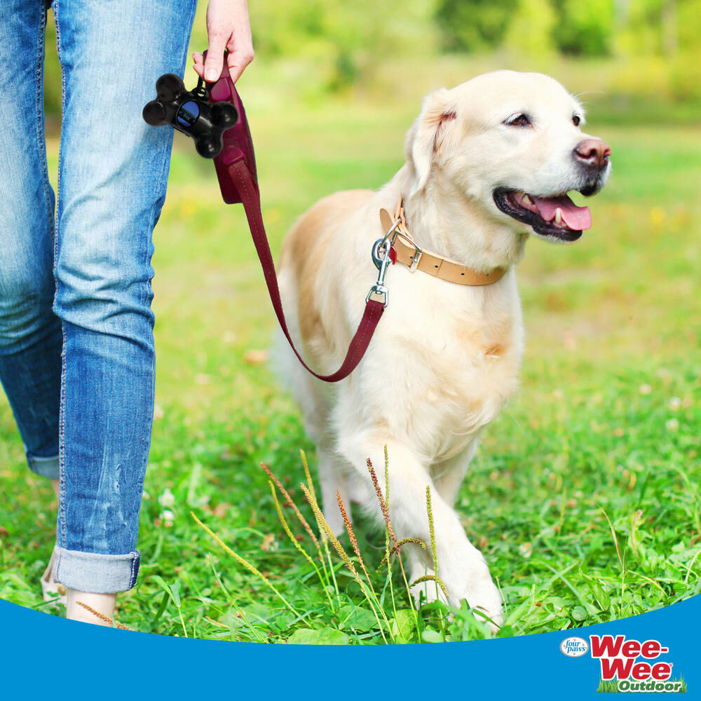 Four Paws Wee-Wee Outdoor Bone Shape Dispenser With Heavy Duty Waste Bags, 30-Ct