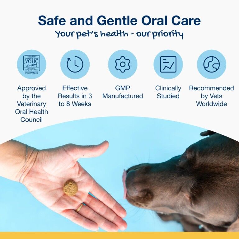 ProDen PlaqueOff Large & Giant Dogs Soft Chews, 45-Ct