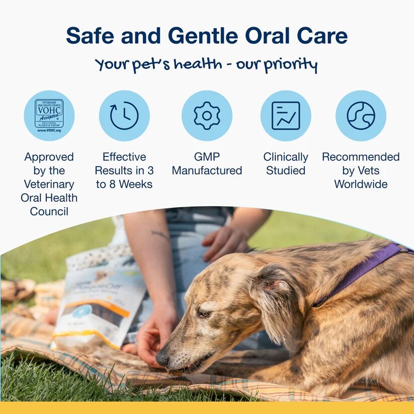 ProDen PlaqueOff Mini Dog Dental Care Bones PB & Banana Flavor, 20-Ct