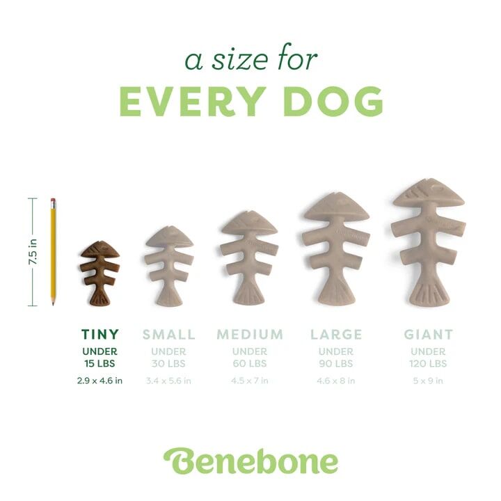 Benebone Tiny Jack Salmon Fishbone Dog Chew Toy, 2-Pk