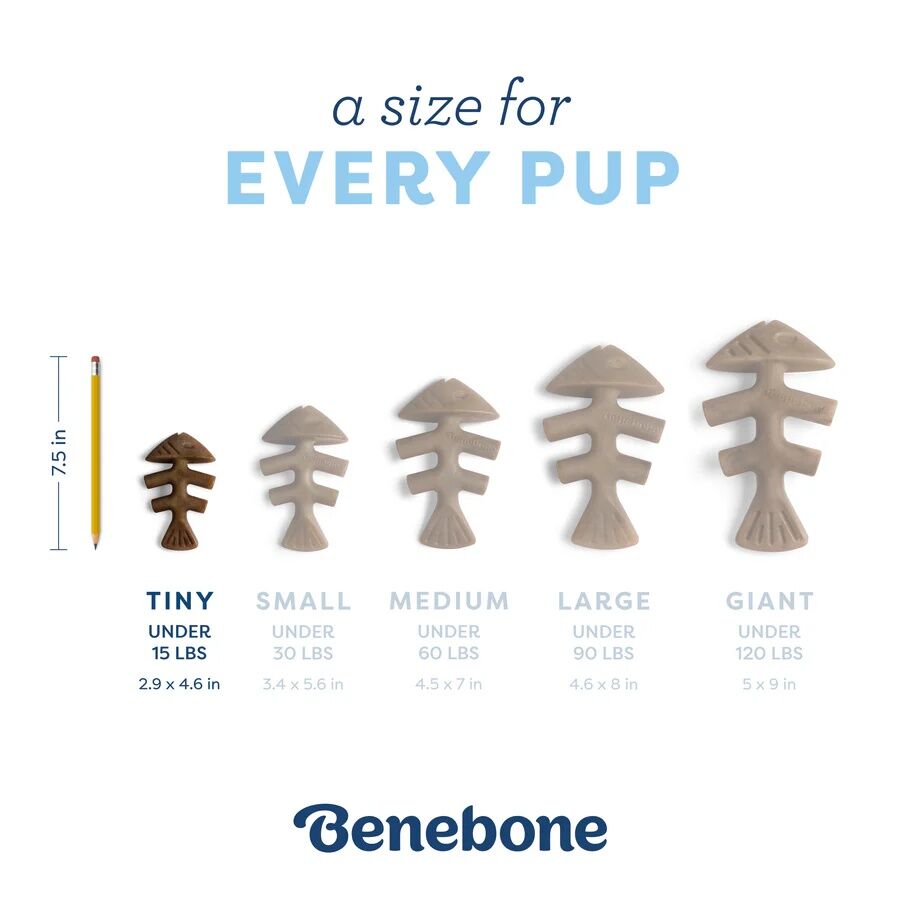 Benebone Jack Salmon Puppy Fishbone Chew Toy, 2-Pk