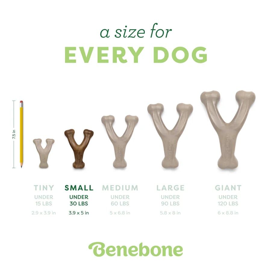 Benebone Medium Bacon Wishbone Durable Dog Chew Toy, 2-Pk
